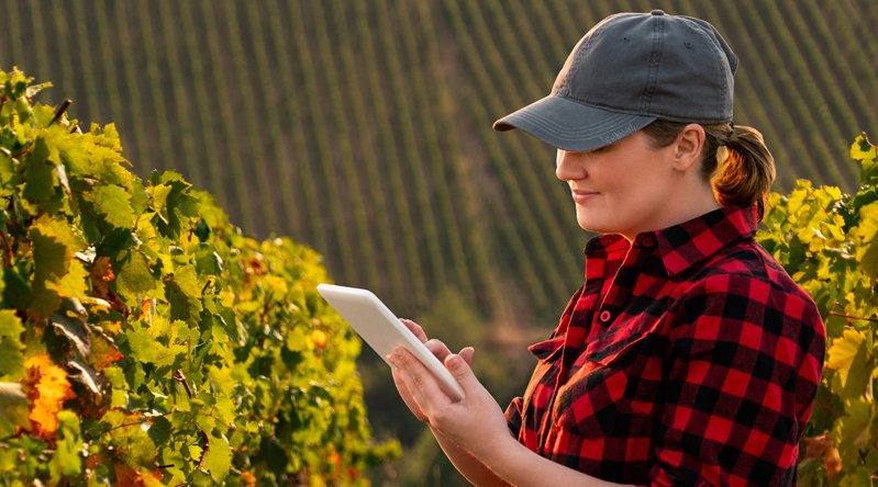 Come digitalizzare le aziende della filiera agroalimentare