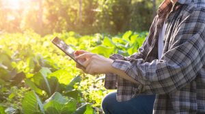 Migliorare la tracciabilità alimentare grazie all’innovazione