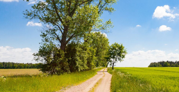 Settembre: tempo di andare in campagna, anche se lavori con la rete