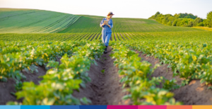 Come l’IoT sta cambiando il volto dell’agricoltura