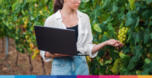 Vendemmia, gli adempimenti per la campagna vitivinicola 2026/2027