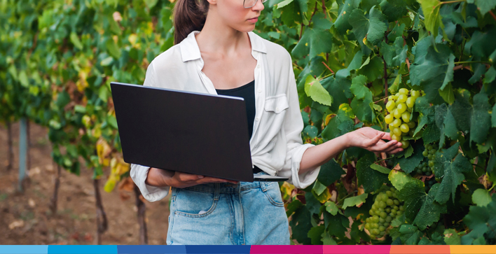 Vendemmia, gli adempimenti per la campagna vitivinicola 2026/2027