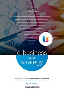 E-business sales strategy