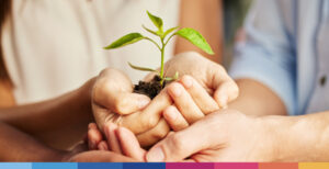 Terzo Settore e sostenibilità: 6 pratiche green