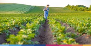Quali sono i fattori competitivi della filiera agroalimentare digitale?