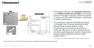 Filiera vitivinicola: l’esperienza sul campo e la tecnologia di supporto