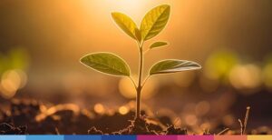 Best practices per i Commercialisti nella consulenza sulla sostenibilità