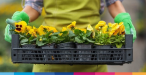 Le mosse vincenti per lanciare un nuovo prodotto