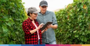 Smart Farming: cos’è, come implementarlo e perché