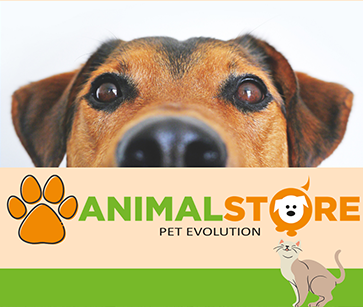 AnimalStore