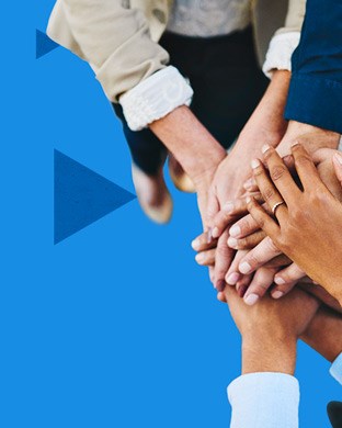 L'organizzazione
