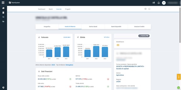 Sezione Analisi Aziendale - Analisi bilancio