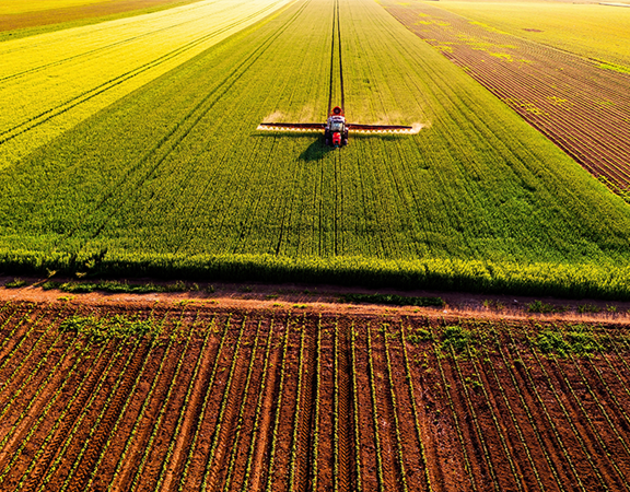 Costi puntuali dei terreni