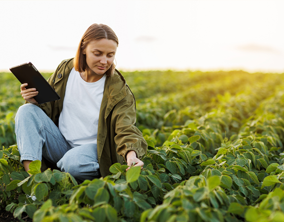 Quaderno di campagna