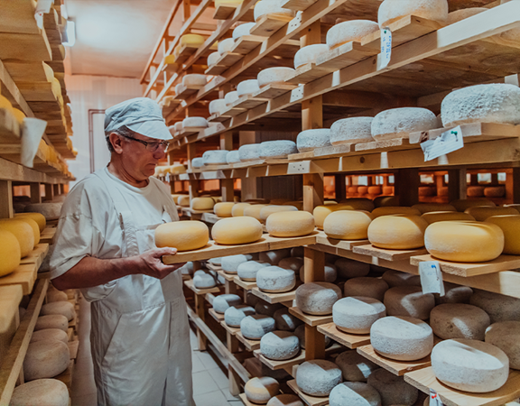 Latterie e caseifici