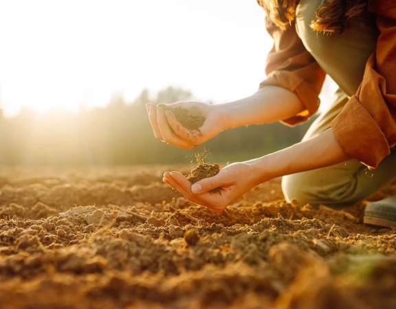 Monitoraggio delle attività agronomiche
