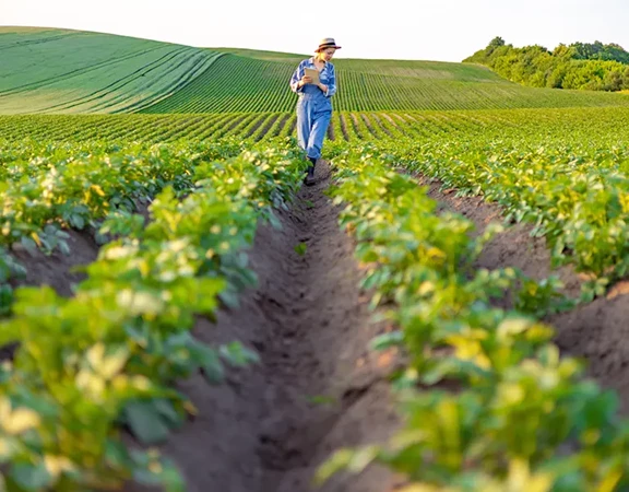 Gestione semplificata del Quaderno di Campagna