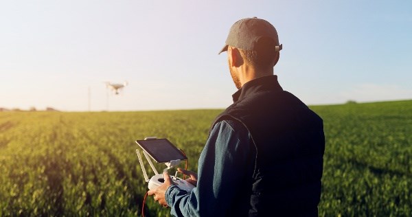Il software per l'Agrifood